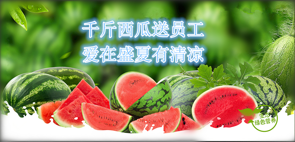 通達(dá)軟件公司： 千斤西瓜送員工，愛在盛夏有清涼